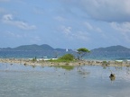2006-05-12 15:13:34 013