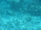 2007-05-19 12:39:34 0631