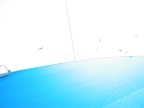 2007-05-20 17:57:14 0583